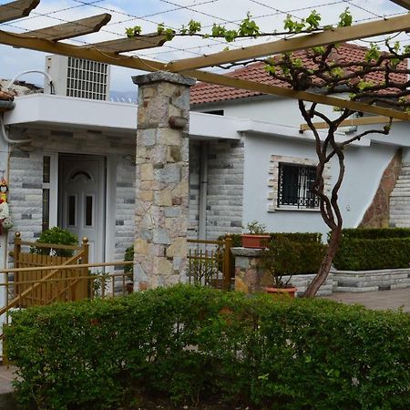 Vila Vila Ss Kekezi Gjirokastër Exteriér fotografie